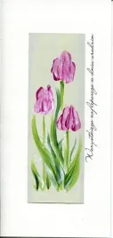 karnet-urodziny-dl-u05-tulipany