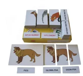 zestaw-dydaktyczny-czyja-glowa-czyj-ogon