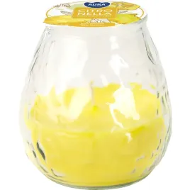 swieca-ogrodowa-w-szkle-bispol-citronella-40h
