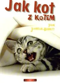 jak-kot-z-kotem