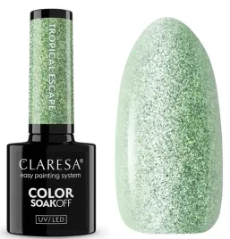 claresa-lakier-hybrydowy-uv-led-tropical-escape-9-5g-srebrzysta-zielen