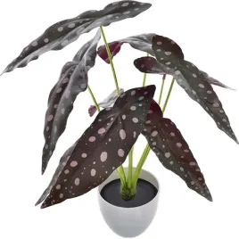 egonida-begonia-sztuczne-kwiaty-roslina-w-donicy-prezent-kompozycja