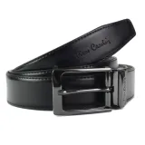 greg33108-marka-pierre-cardin