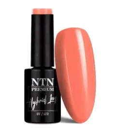 lakier-hybrydowy-ntn-premium-delight-sorbet-collection-hema-di-hema-free-5g-nr-152