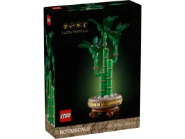 legor-botanicals-10344-dracena-sandera
