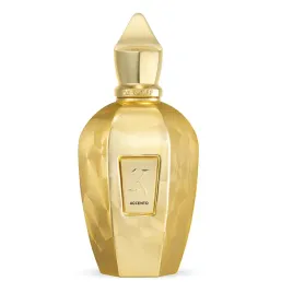 xerjoff-accento-overdose-eau-de-parfum-edp-100ml