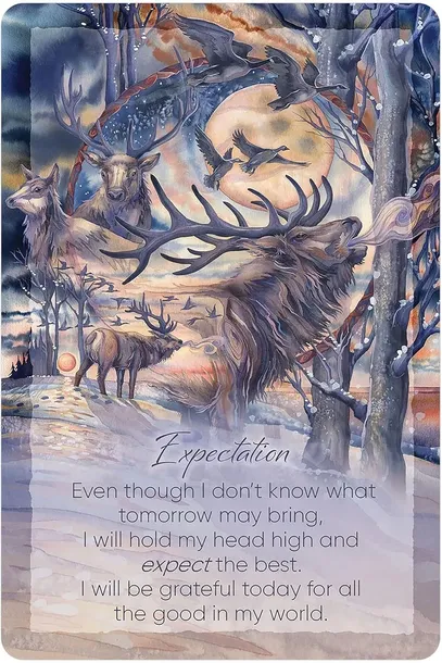 karty-tarot-the-light-within-nazwa-karty-tarot-the-light-within-stan-nowy