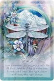 karty-tarot-the-light-within-stan-nowy-nazwa-karty-tarot-the-light-within