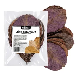 liscie-ketapangu-migdalecznika-15-20cm-do-akwarium-i-krewetkarium-10szt