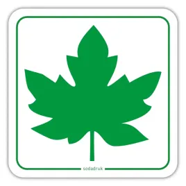 zielony-listek-dla-mlodego-kierowcy