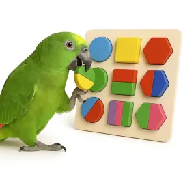 papuzie-kolorowe-puzzle-or-ukladanka-dla-wszystkich-papug