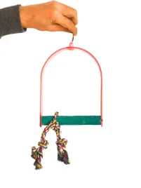 small-swing-or-hustawka-3w1-dla-malych-papug