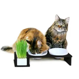 miski-dla-kota-or-koci-bar-2-or-canadian-cat