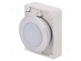 m30c-fl-w-lampka-kontrolna-30mm-rmq-titan-25-70st-podsw-m22-led-ip67