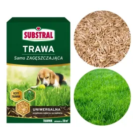 substral-trawa-uniwersalna-1kg-letnio-jesienny-siew-samo-zageszczajaca