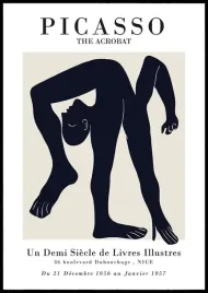 obraz-na-plotnie-canvas-pablo-picasso-obraz-vintage-retro-90x60