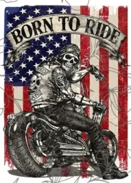 obraz-na-plotnie-canvas-harley-davidson-born-to-ride-motor-90x60-cm