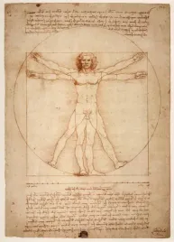 obraz-na-plotnie-canvas-anatomia-leonardo-da-vinci-vintage-obraz-915x61-c