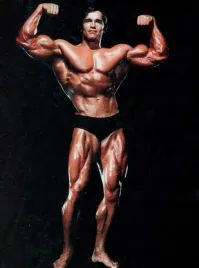 obraz-na-plotnie-canvasarnold-schwarzenegger-kulturysta-915x61-6