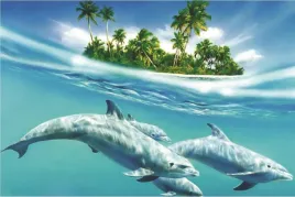 obraz-na-plotnie-canvas-poster-delfiny-rafa-ocean-piekny-widok-90x60-cm