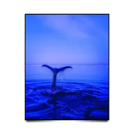 obraz-na-plotnie-canvas-obraz-piekny-widok-pejzaz-krajobraz-scienny-90x60-c