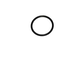 oring-17-1-5-napinacza-lancucha-rozrzadu-can-am-oe-420250890