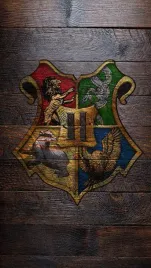 obraz-na-plotnie-canvas-harry-potter-hogwarts-legacy-90x60-cm-4