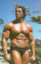 obraz-na-plotnie-canvas-arnold-schwarzenegger-kulturysta-90x60-cm-2