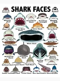 obraz-na-plotnie-canvas-shark-rekiny-ocean-vintage-retro-61x915