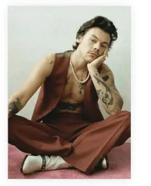 obraz-na-plotnie-canvas-harry-styles-nude-61x915-cm