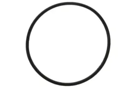 oring-walka-45-x-2-can-am-outlander-renegade-oe-420230306