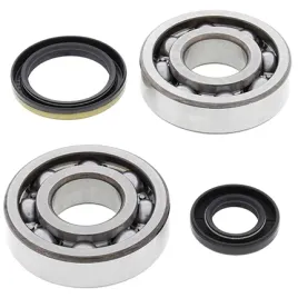 lozyska-walu-korbowego-z-uszczelniaczami-all-balls-suzuki-rm-250-94-95