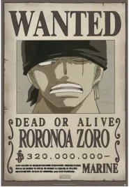 anime-one-piece-wanted-zoro-obraz-na-plotnie-canvas-61x915-cm
