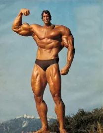 obraz-na-plotnie-canvas-arnold-schwarzenegger-kulturysta-karykatura-60x90-c