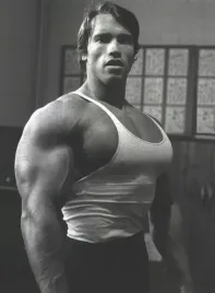 obraz-na-plotnie-canvas-arnold-schwarzenegger-kulturysta-50x70-cm