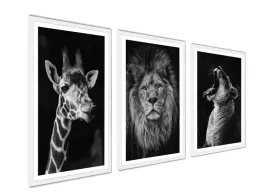 obraz-na-plotnie-canvasy-obrazy-lew-zyrafa-natura-duze-50x70-cm