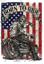 obraz-na-plotnie-canvas-harley-davidson-born-to-ride-motor-50x40-cm