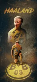 obraz-na-plotnie-canvas-erling-haaland-borussia-dortmund-obraz40x30