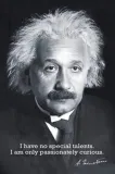 albert-einstein-obraz-na-plotnie-canvas-100x70cm-1