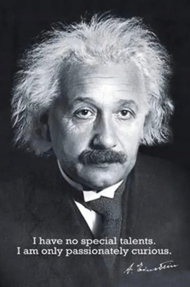 albert-einstein-obraz-na-plotnie-canvas-100x70cm-1
