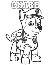 obraz-na-plotnie-canvas-kolorowanka-psi-patrol-sky-chase-30x40cm