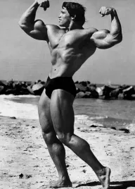 obraz-na-plotnie-canvas-arnold-schwarzenegger-kulturysta-100x70-2