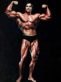 obraz-na-plotnie-canvas-arnold-schwarzenegger-kulturysta-100x70-3