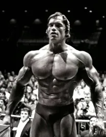 obraz-na-plotnie-canvas-arnold-schwarzenegger-kulturysta-100x70-4