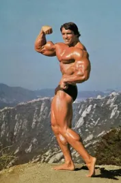 obraz-na-plotnie-canvas-arnold-schwarzenegger-kulturysta-100x70-6