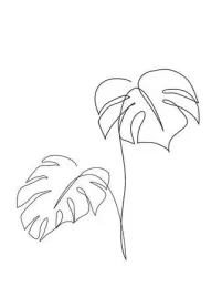 plakat-one-line-art-monstera-obraz-vintage-50x40-cm