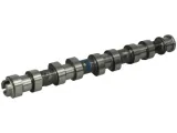 kolbenschmidt-50006152-walek-rozrzadu
