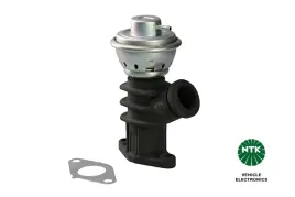 ntk-95776-zawor-agr