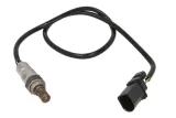 meatanddoria-81719e-sonda-lambda