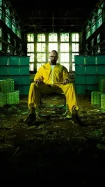 plakat-breaking-bad-walter-white-70x50-cm-8